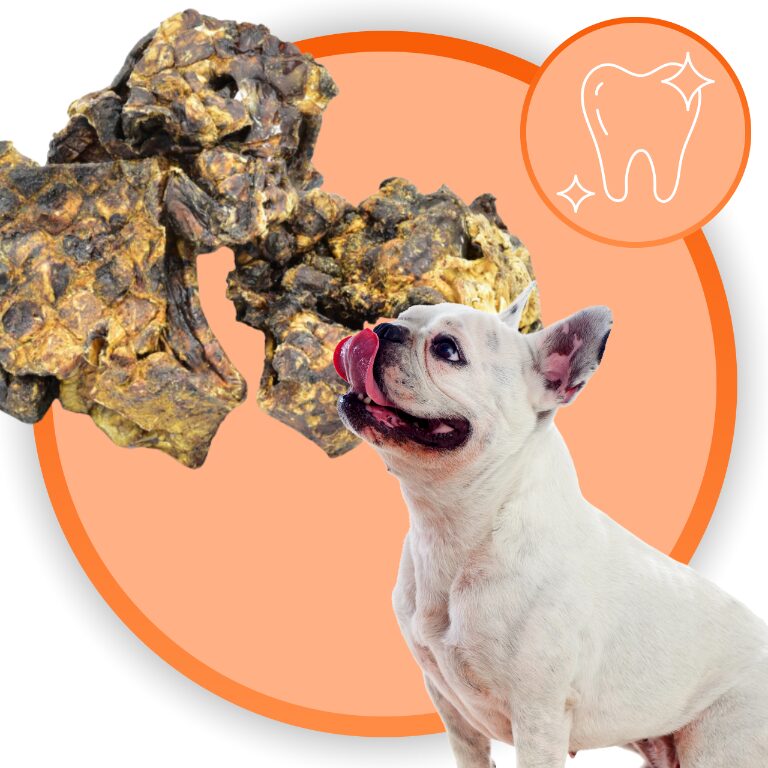 64c8d264904bef0c4de41d84559c9f65