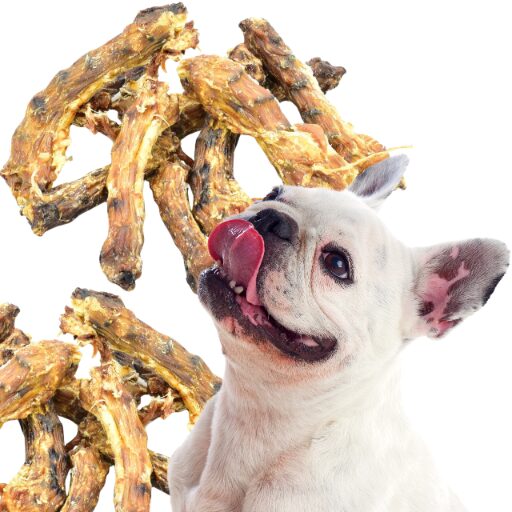 fa88a80770cd8deaf9e3e45ddc467260